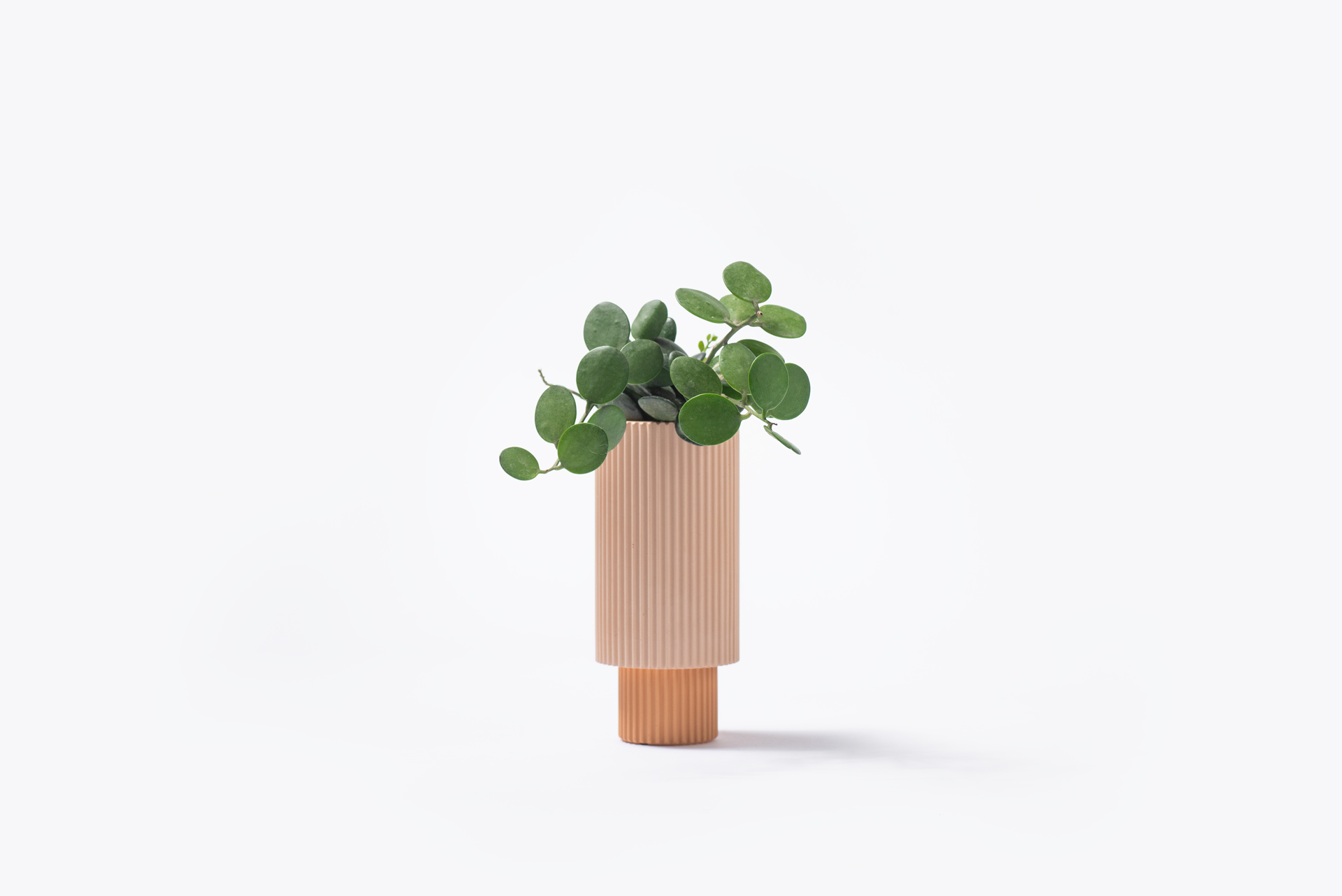 碧雷鼓與台灣盆器