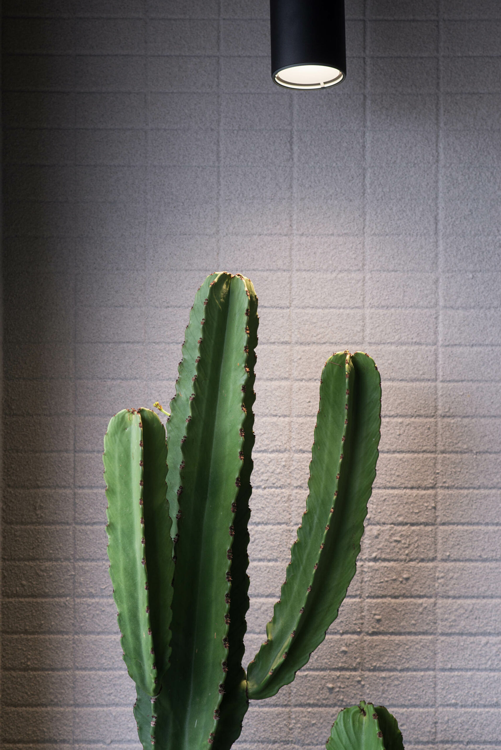 質感陽台改造 深度療癒招待所 私人招待會所 質感綠景陽台設計7 scaled