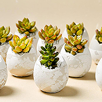 端午拍攝-15 200x200