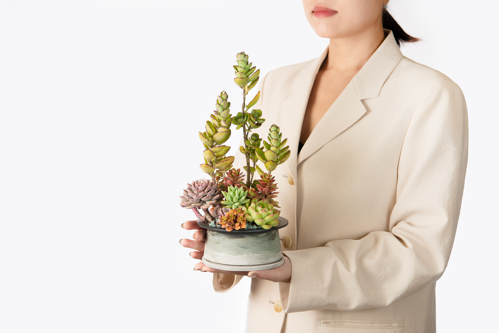 築夢生機＿陶室＿波土質＿手捧植栽