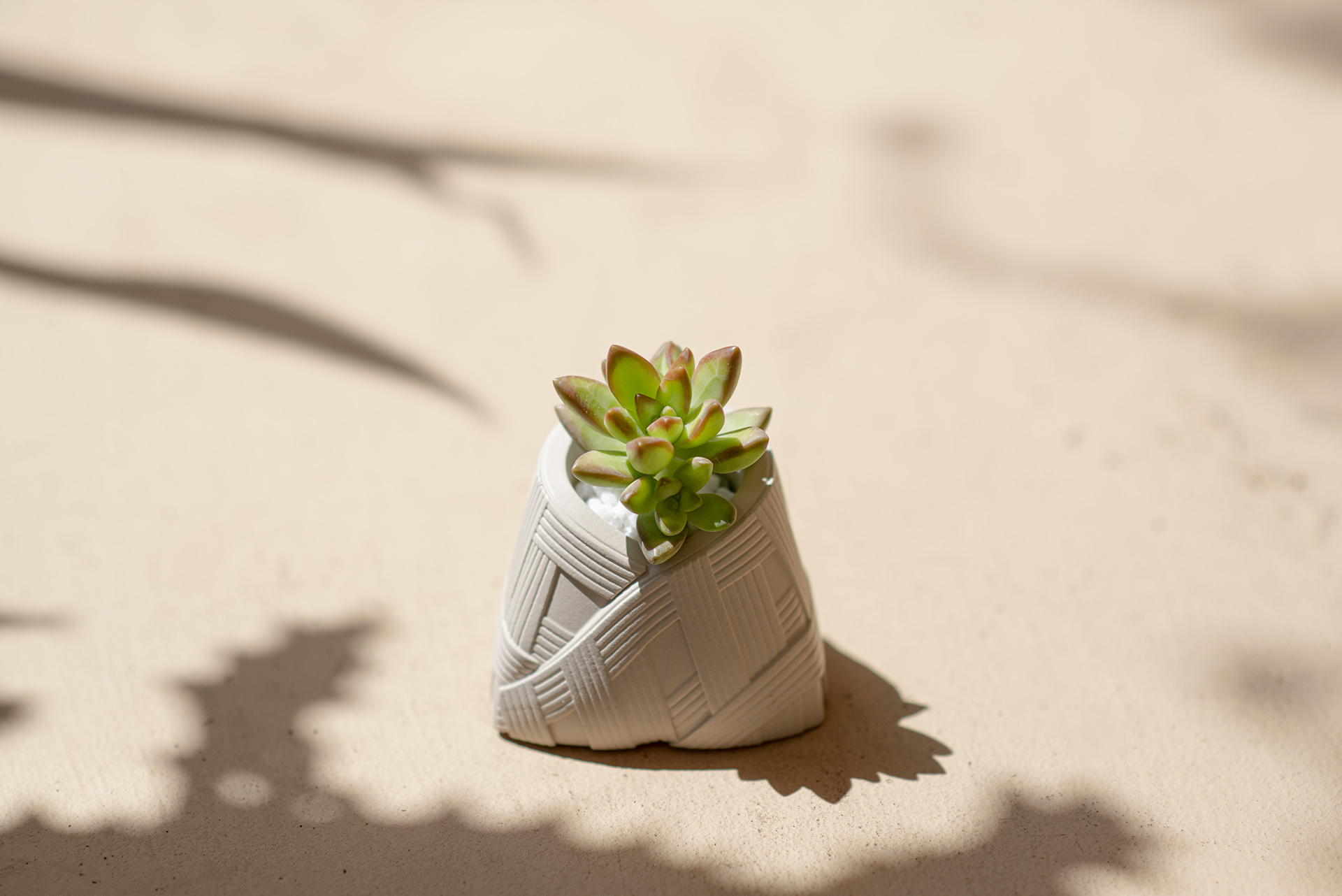 Go Green! 8 個企業禮品常見問題：交期、發票、價格一次全看懂 米白粽＿端午節