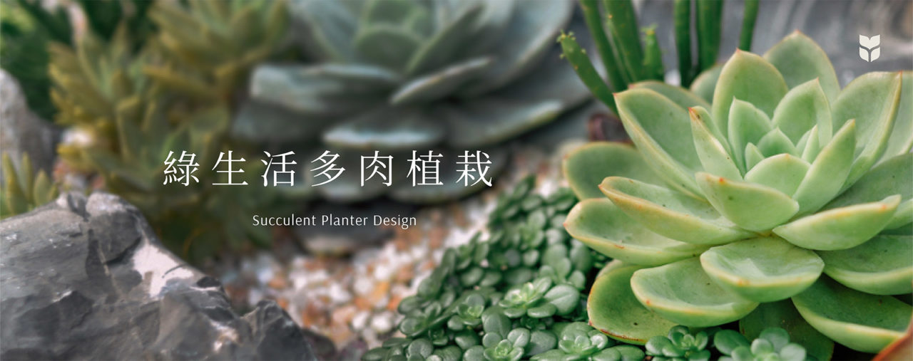 綠生活多肉植栽_企業包班團體課