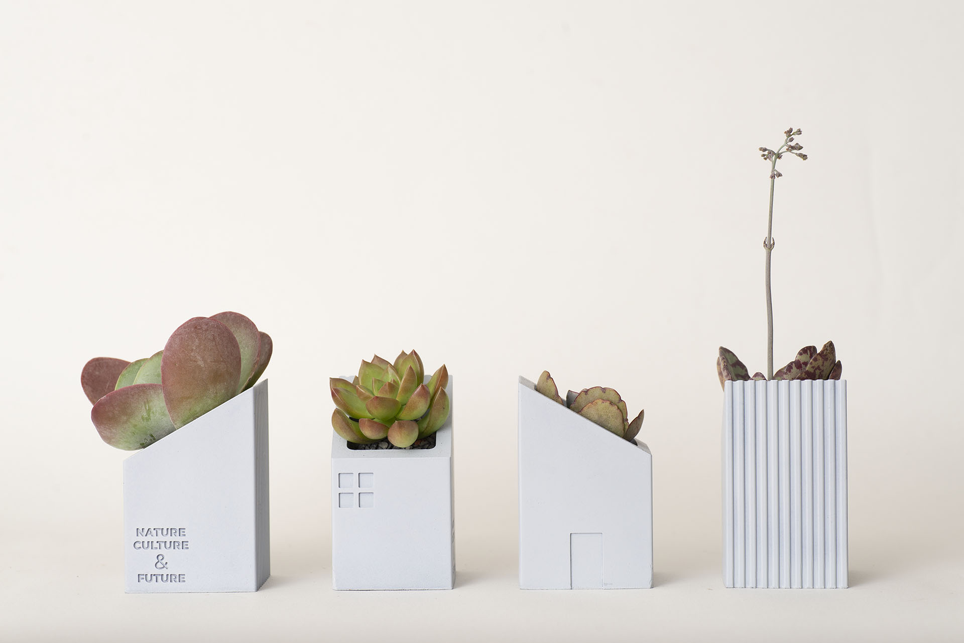 Go Green! 8 個企業禮品常見問題：交期、發票、價格一次全看懂 維晶科技業案例：春節客製化植物禮盒8