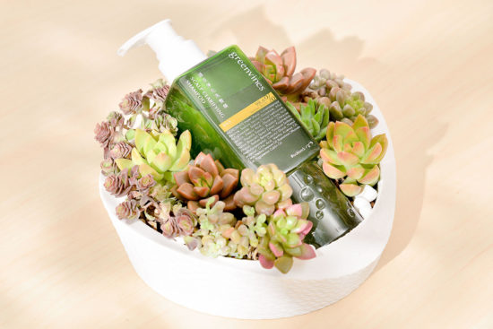 2024 七夕情人節送多肉花禮盒，療癒陪伴一整年 網路花店 綠藤盆 01