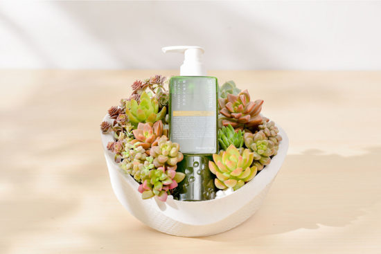 2024 七夕情人節送多肉花禮盒，療癒陪伴一整年 網路花店 綠藤盆 03