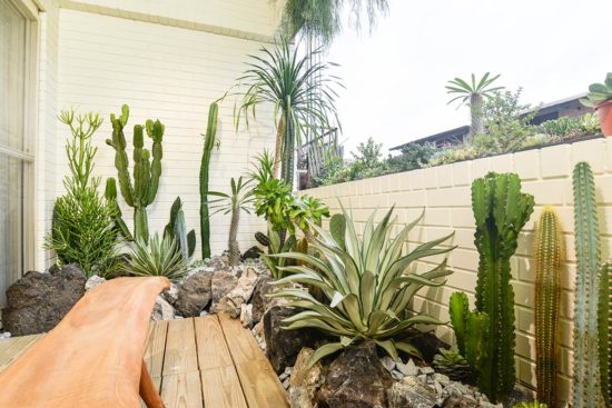 陽台植物佈置造景 - 宜蘭謝公館 老公寓陽台大改造4