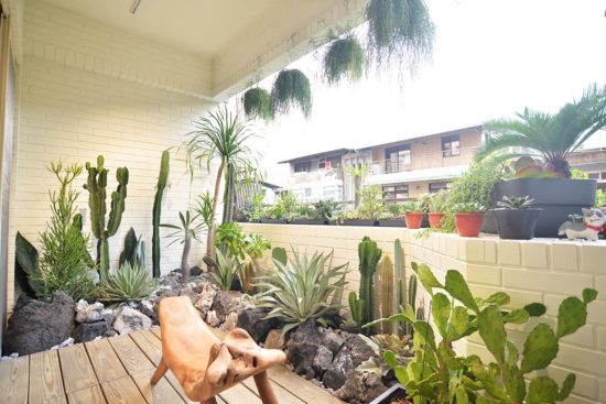 陽台植物佈置造景 - 宜蘭謝公館 老公寓陽台大改造7