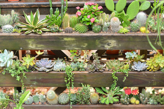 植物牆導覽介紹活動