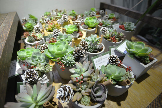 活動完成品作品陳列