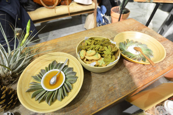 多肉植物吃的體驗