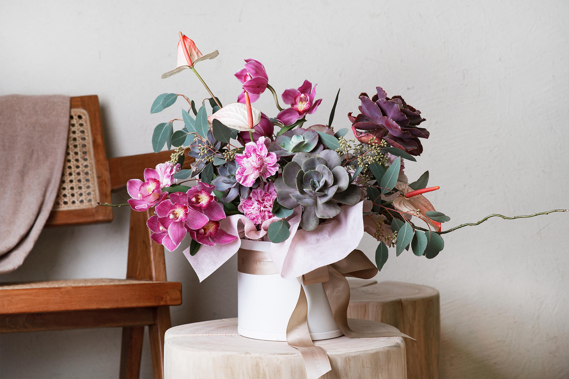 花弄春柔 母親節花禮 多肉盆栽2