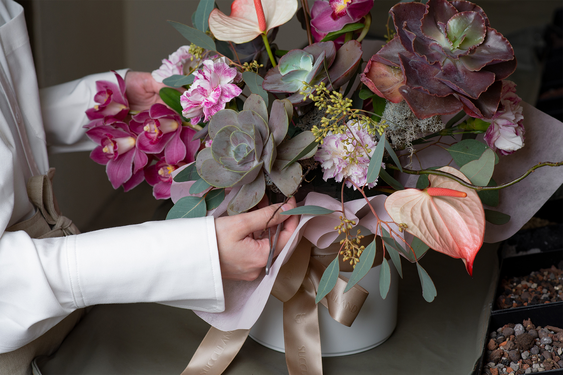 花弄春柔 母親節花禮 多肉盆栽6