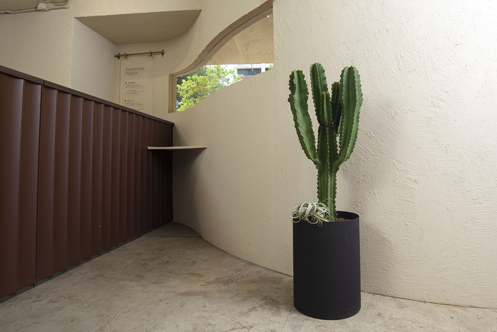 室內植物擺設 3 案例｜台灣在地的造景實踐 落地型上帝閣組盆 不能放室內種植的大型多肉植物52