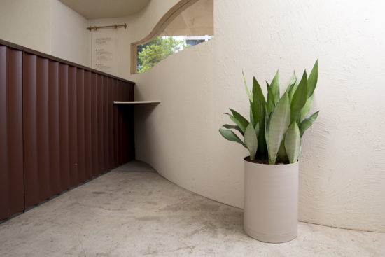 室內小盆栽推薦：低維護度植物讓你更輕鬆 落地型銀后虎尾蘭組盆 室內植物＿觀葉植物2