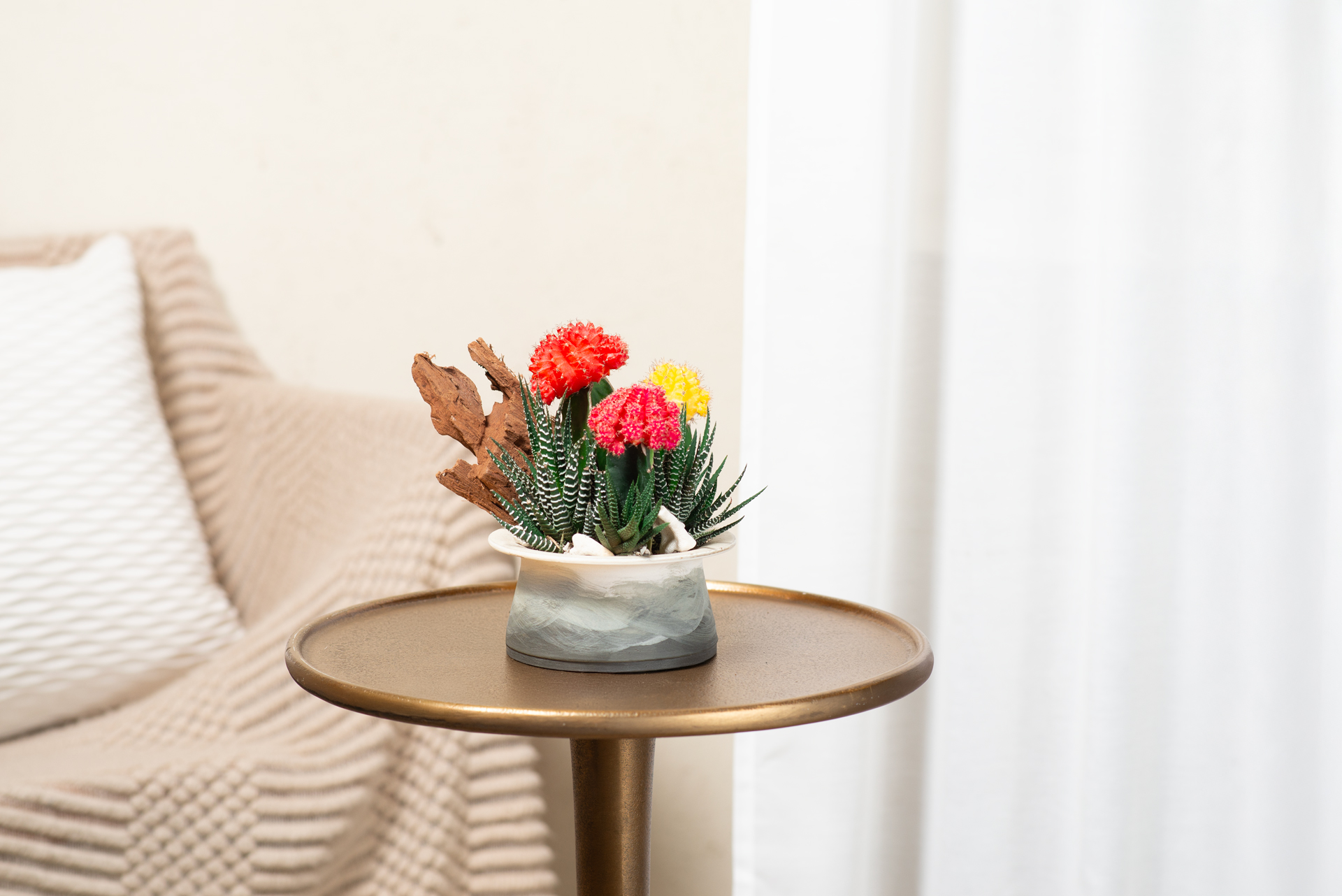 蓊然生姿_陶室_波土質2024＿室內拍攝