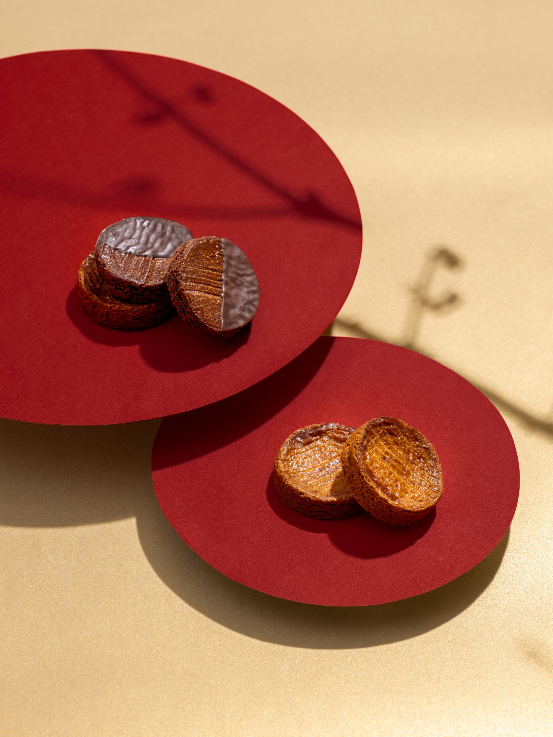 2025 春節禮盒送福蛇！造型植栽滿春意 金蛇年春節禮盒 蛇造型盆栽禮盒＿卡柏蒂酥餅＿直 scaled