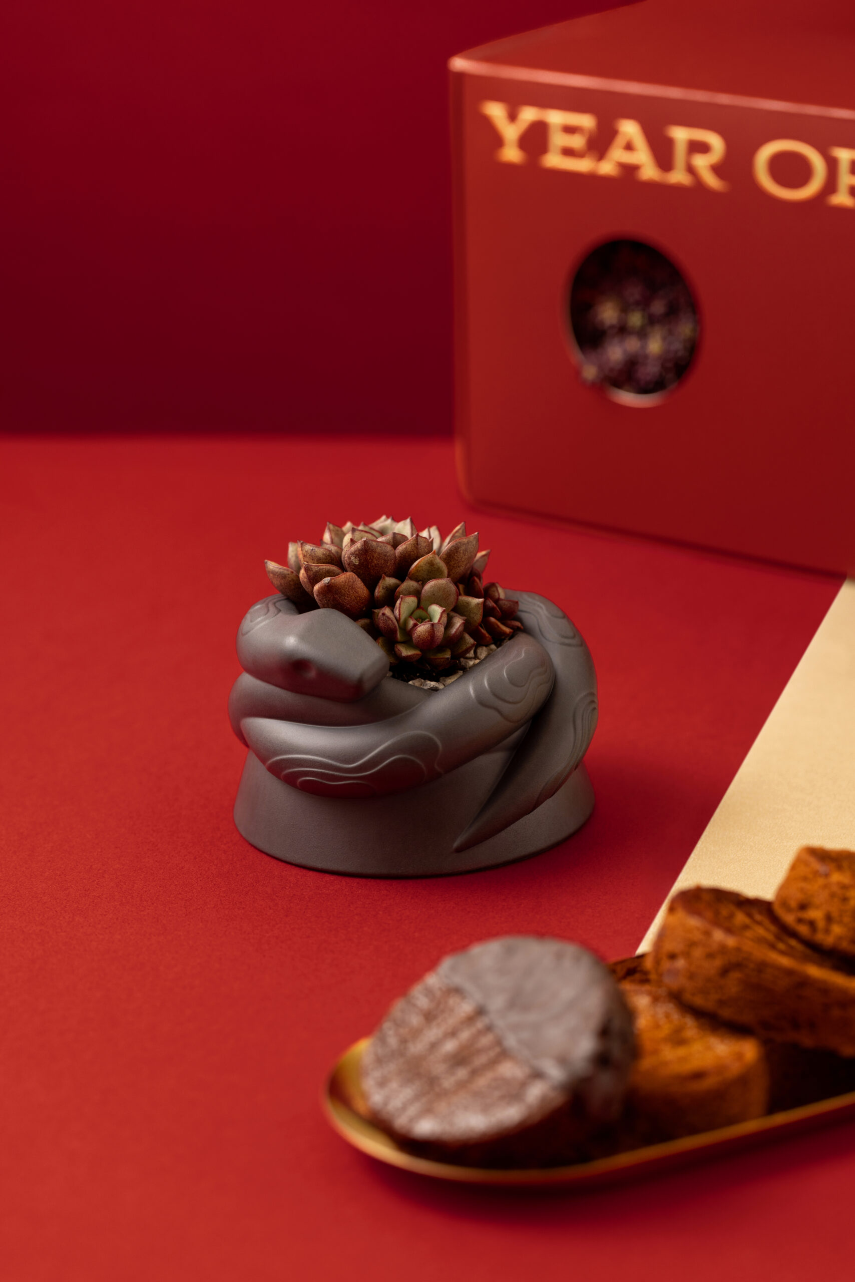 2025 春節禮盒送福蛇！造型植栽滿春意 金蛇年春節禮盒 蛇造型盆栽禮盒＿蛇盆特寫＿直 scaled