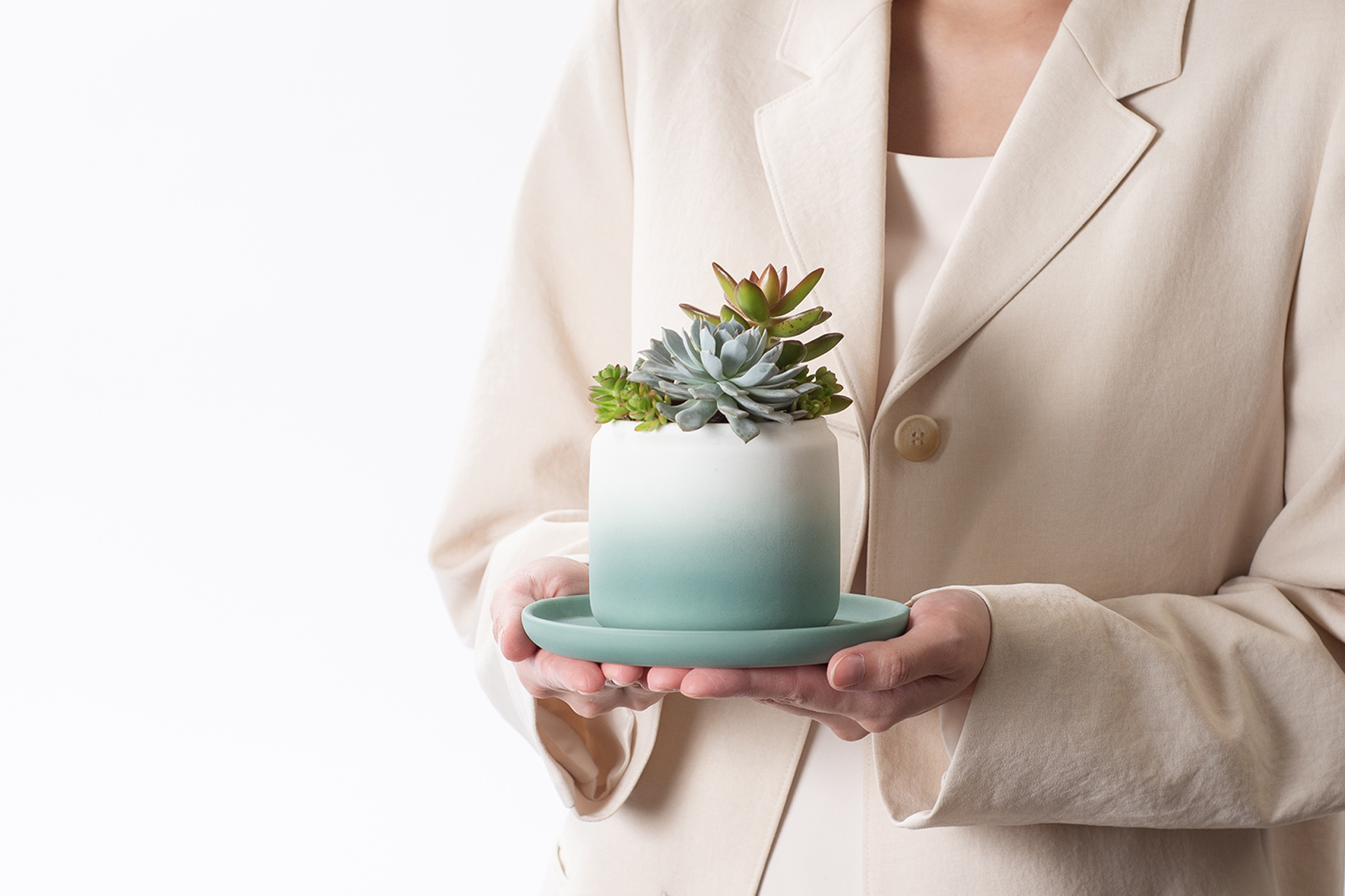 藍綠色盆栽設計