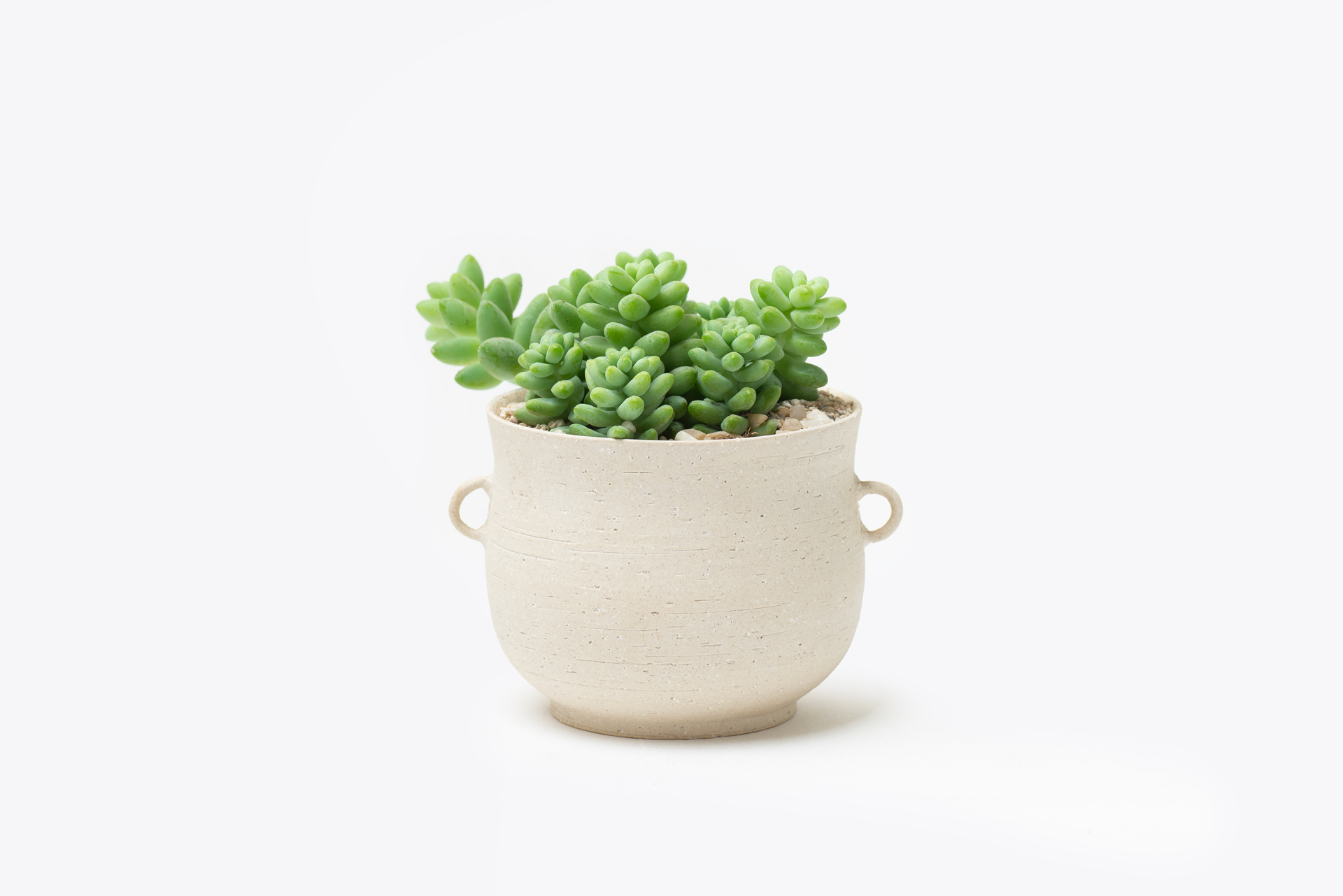 新玉綴多肉搭配台灣設計盆器