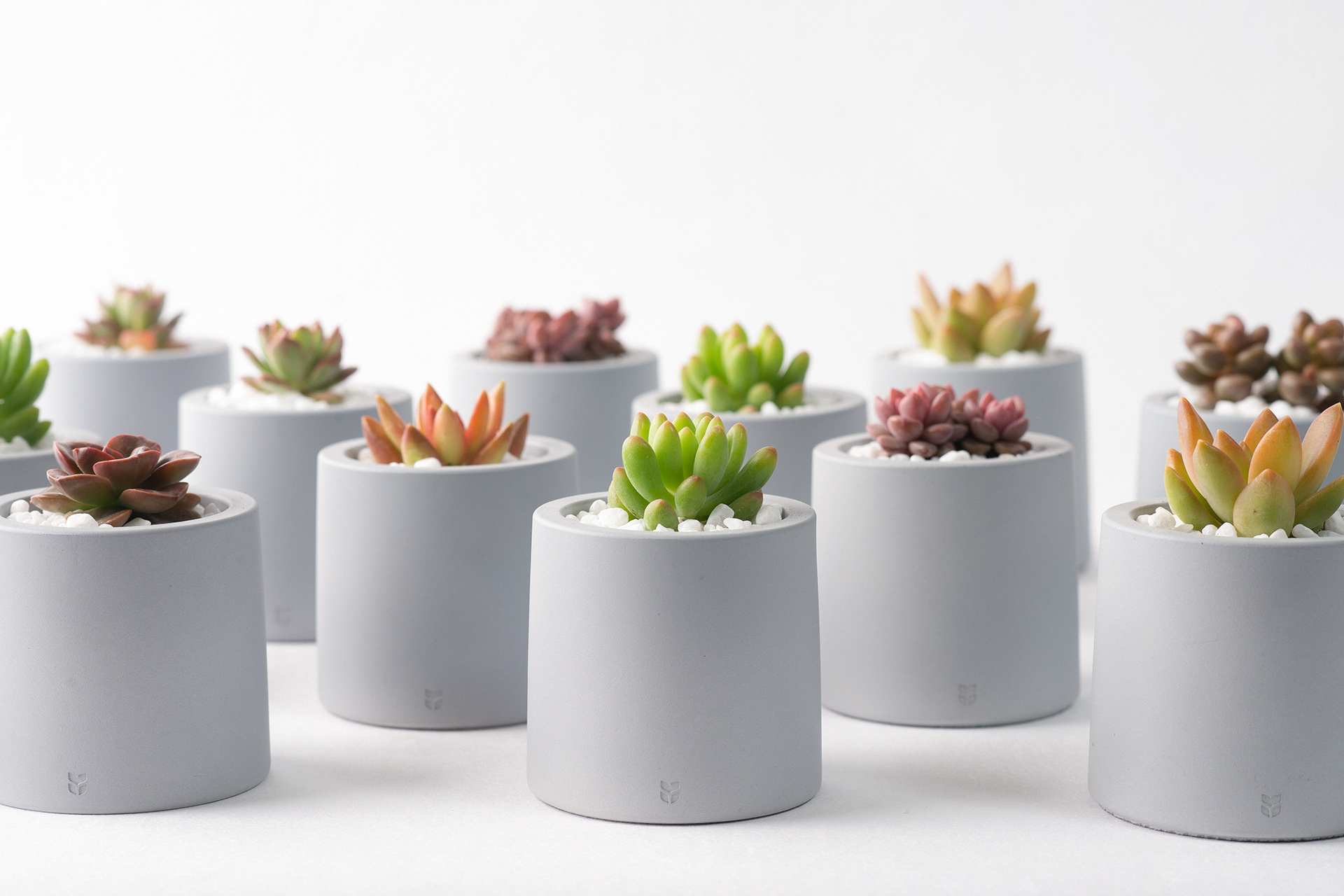 地球日抽獎活動