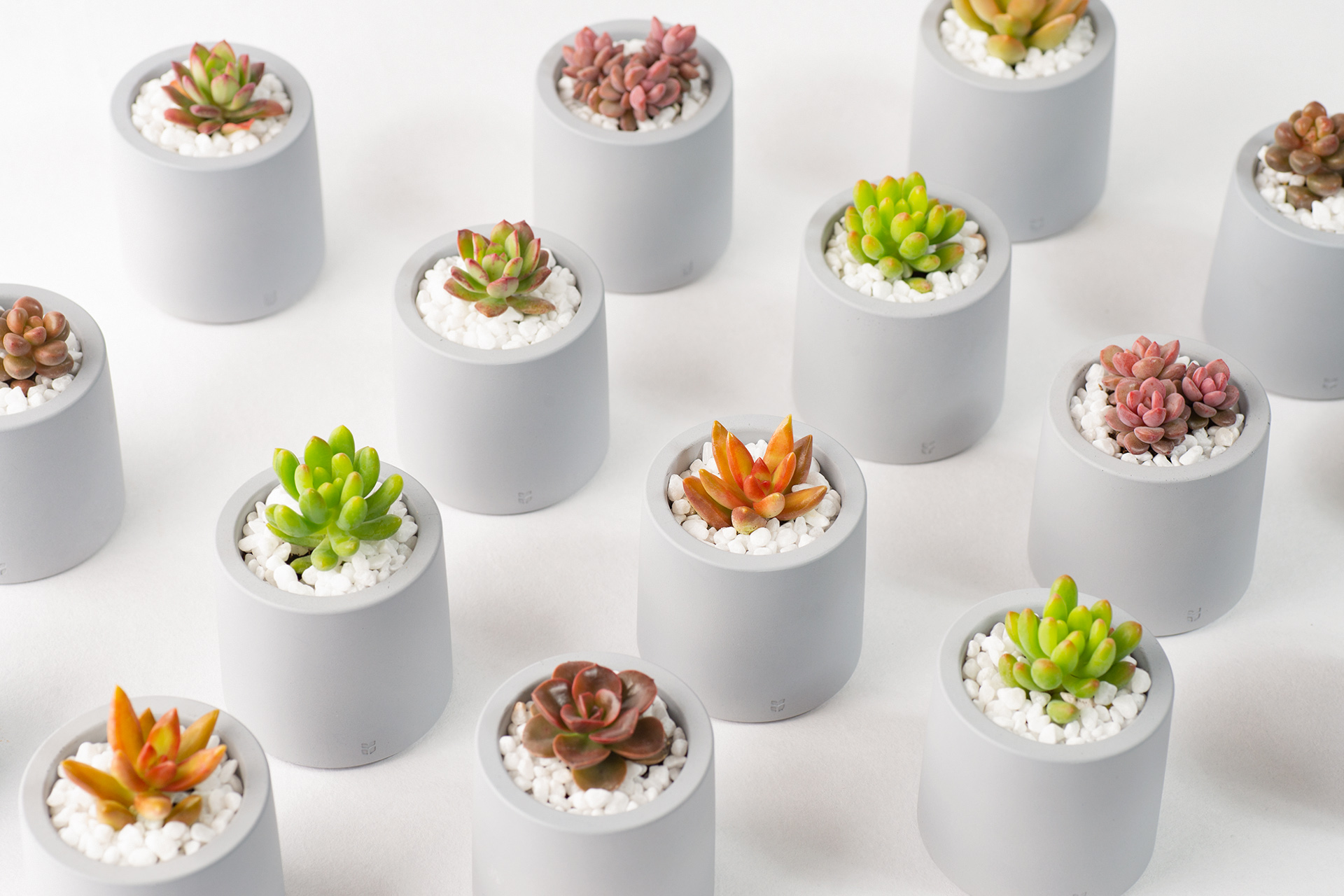 地球日活動推薦