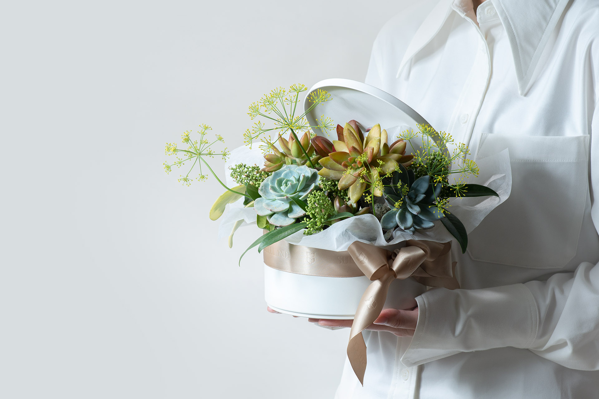 滿花豐彩 0304 繽紛組盆網路花店商品拍攝239