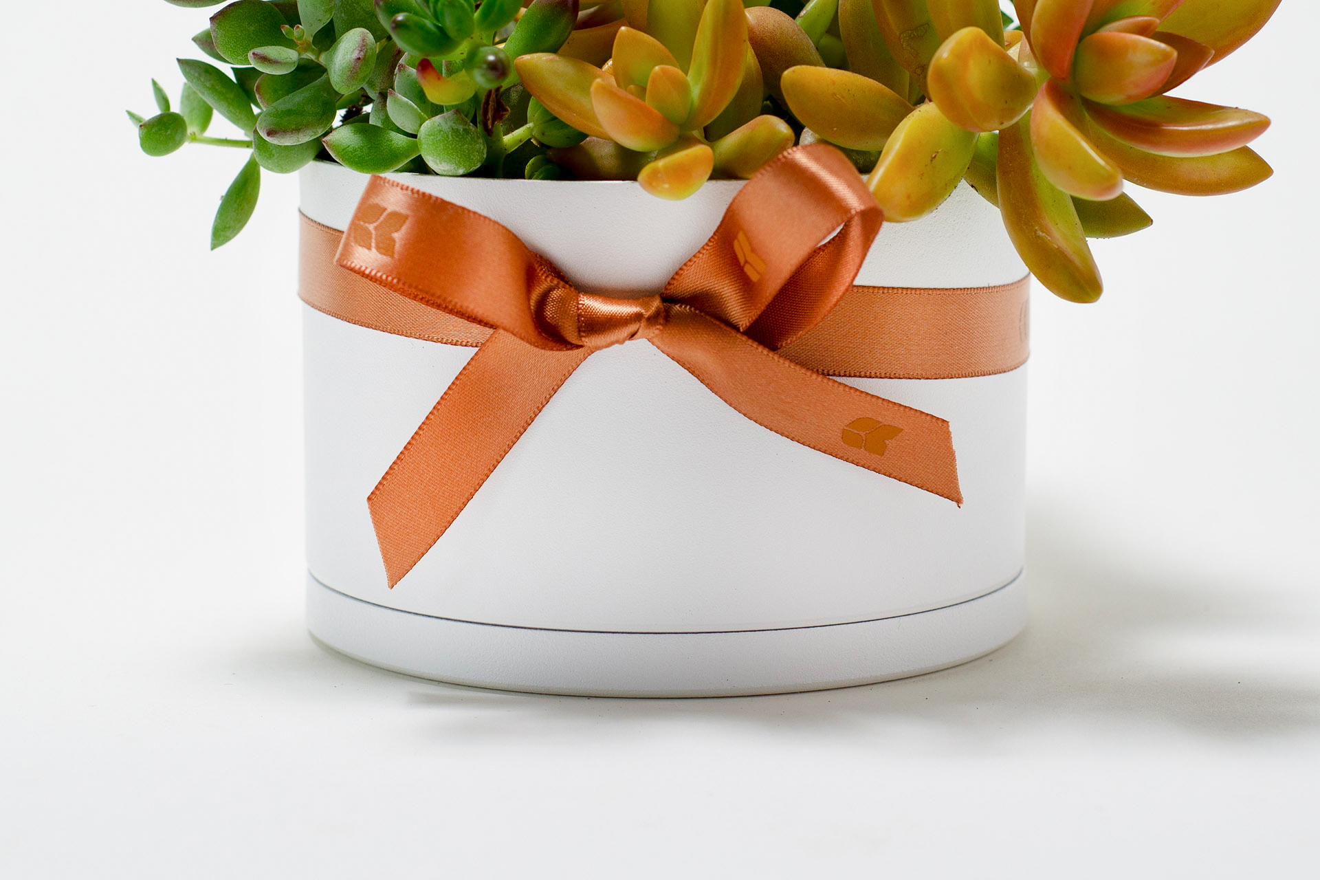 翩翩晶采 0311 網路商店開幕送禮拍攝130 拷貝