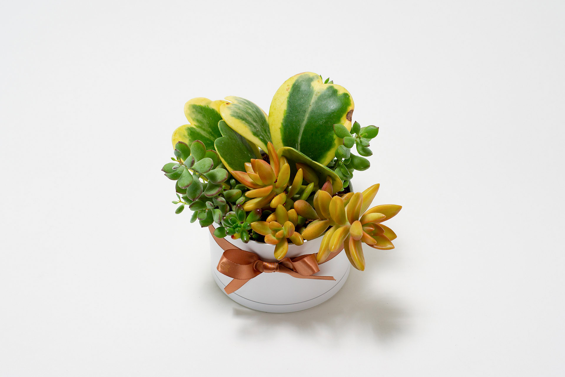 翩翩晶采 0311 網路商店開幕送禮拍攝132 拷貝