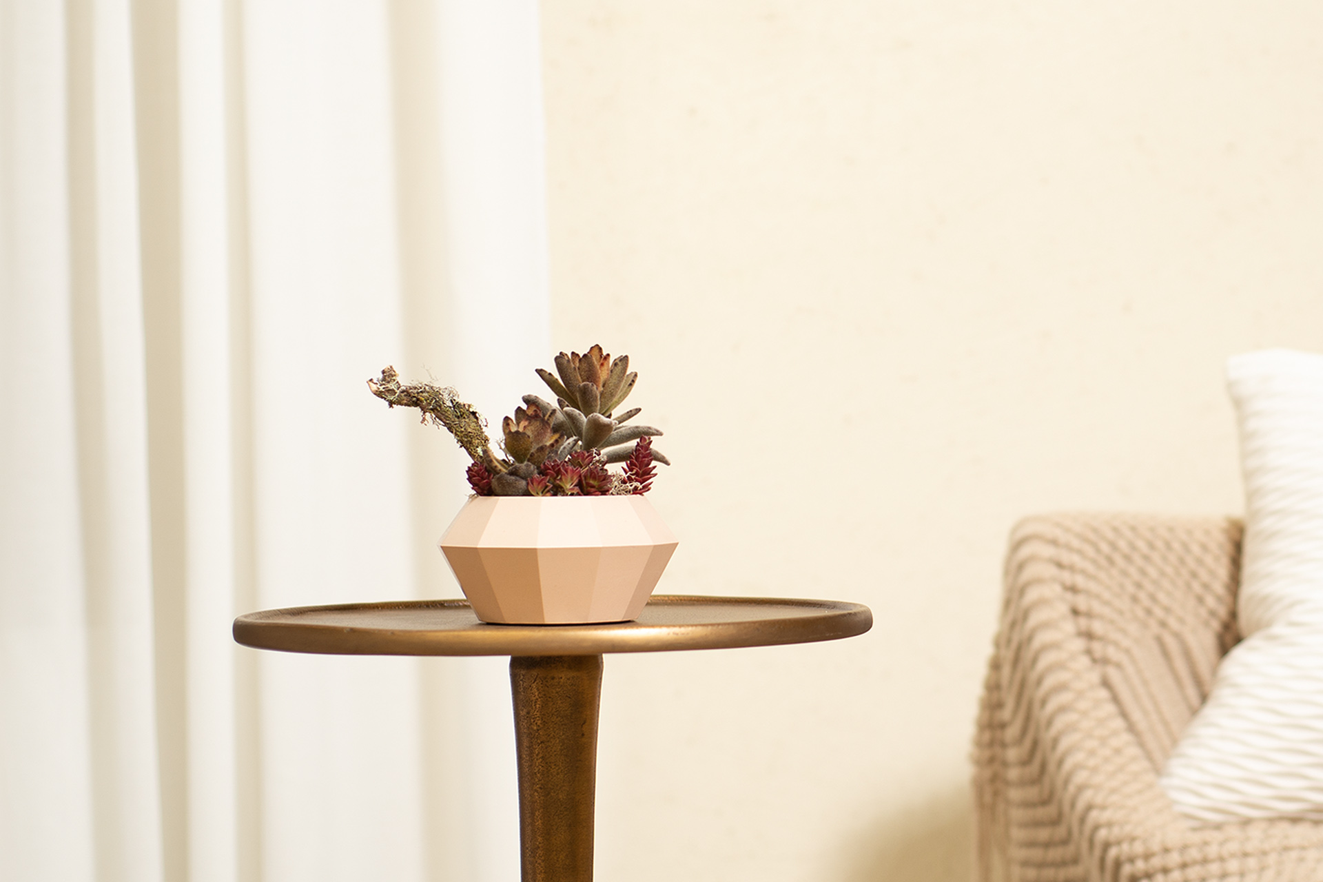 奶茶色桌上盆栽