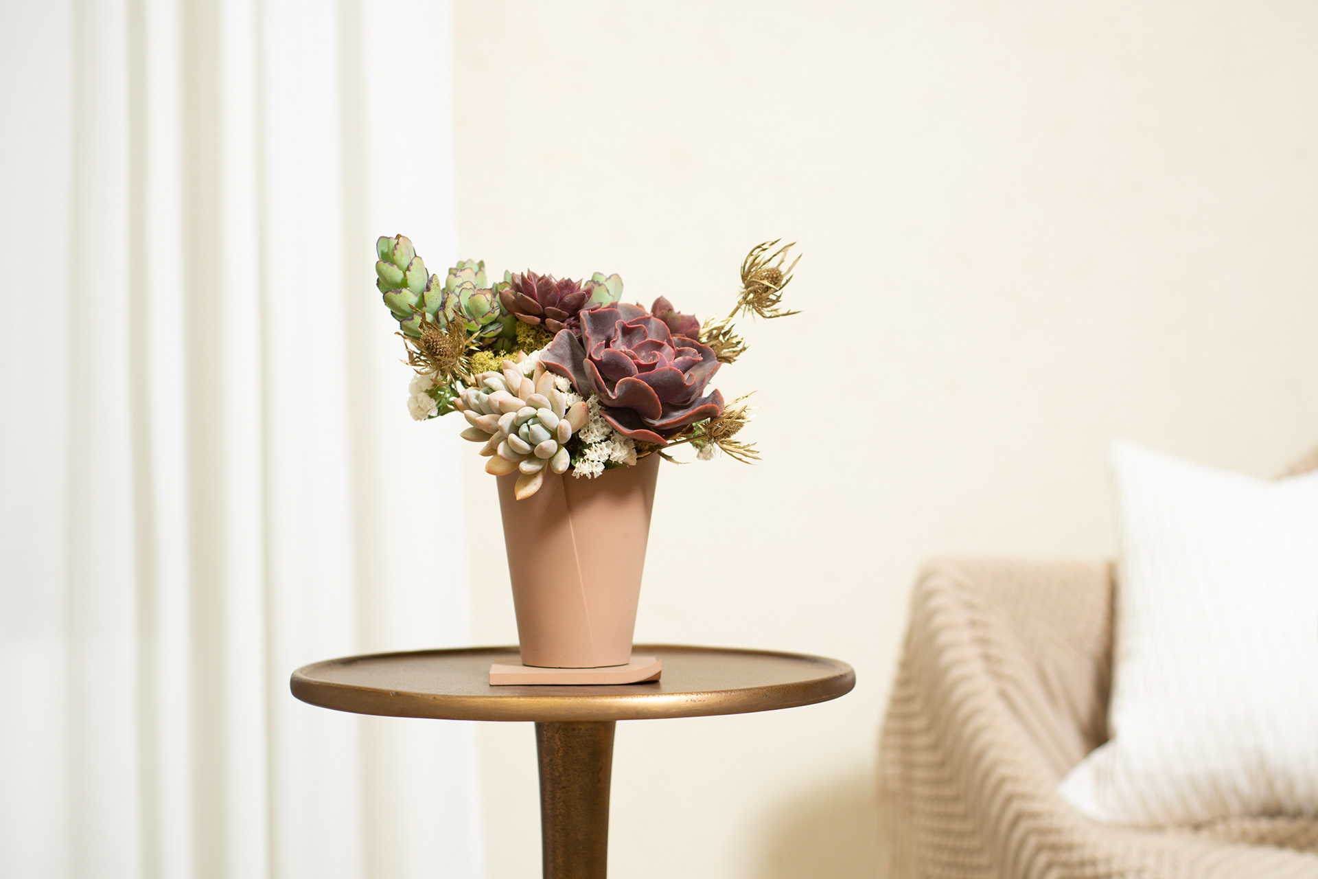 多肉盆栽獎盃感