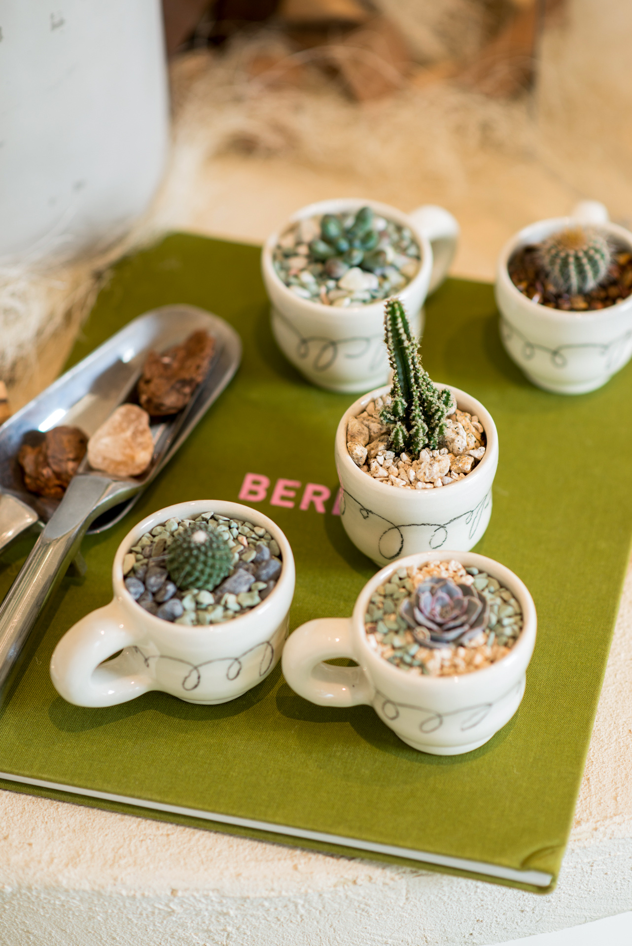 「走進大安四維街區」挖掘七家店，從設計出發感受生活！ 0411 PAZZO門市植物陳列拍攝 15