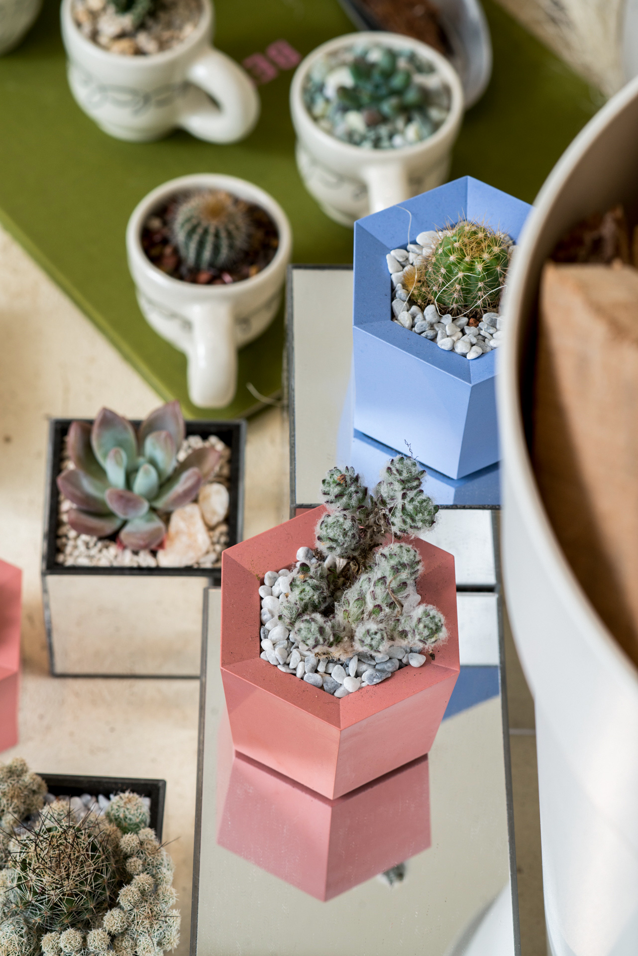 「走進大安四維街區」挖掘七家店，從設計出發感受生活！ 0411 PAZZO門市植物陳列拍攝 23