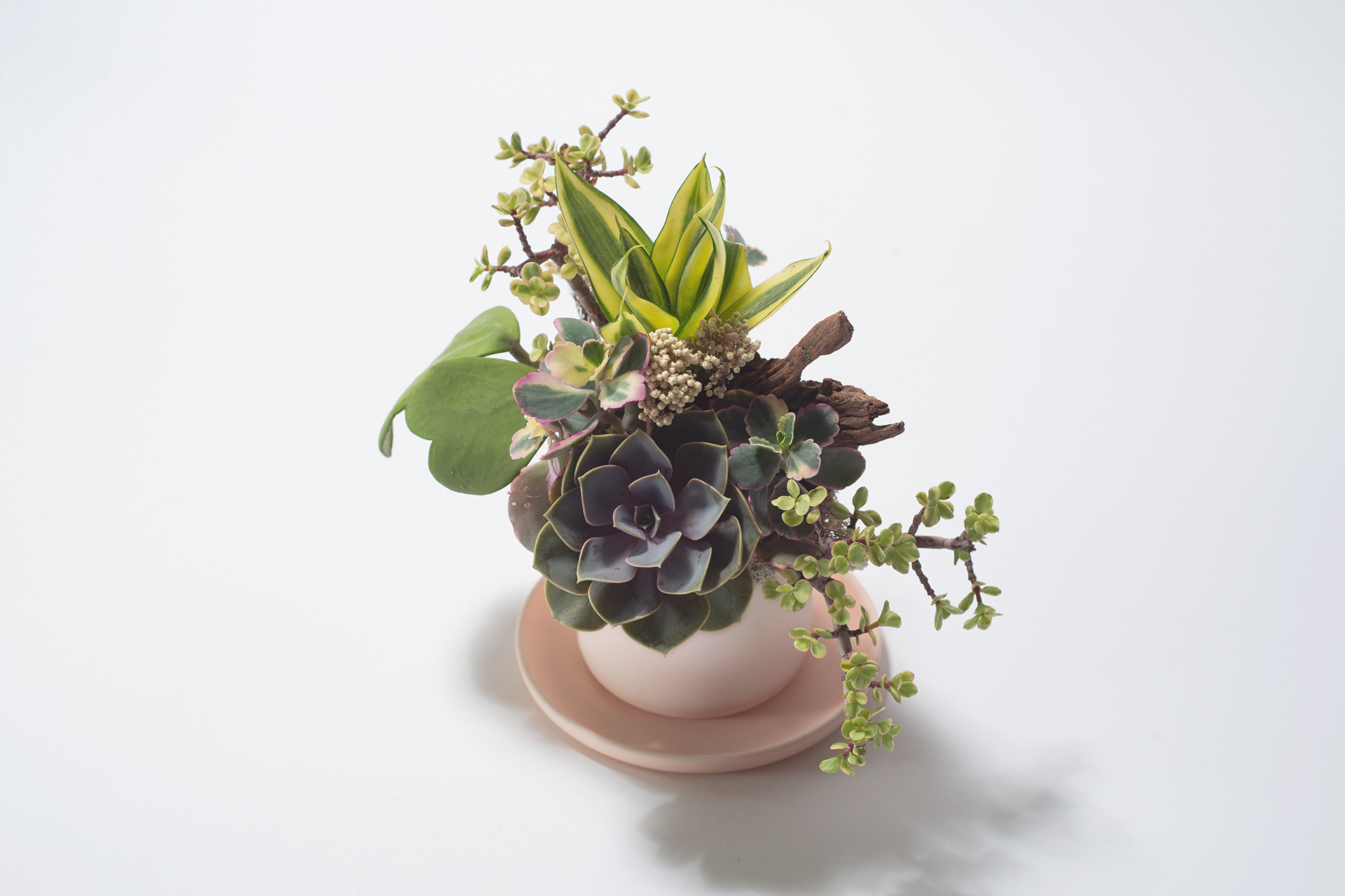 春色呈美 0422 夏季網路花店新禮品110 拷貝