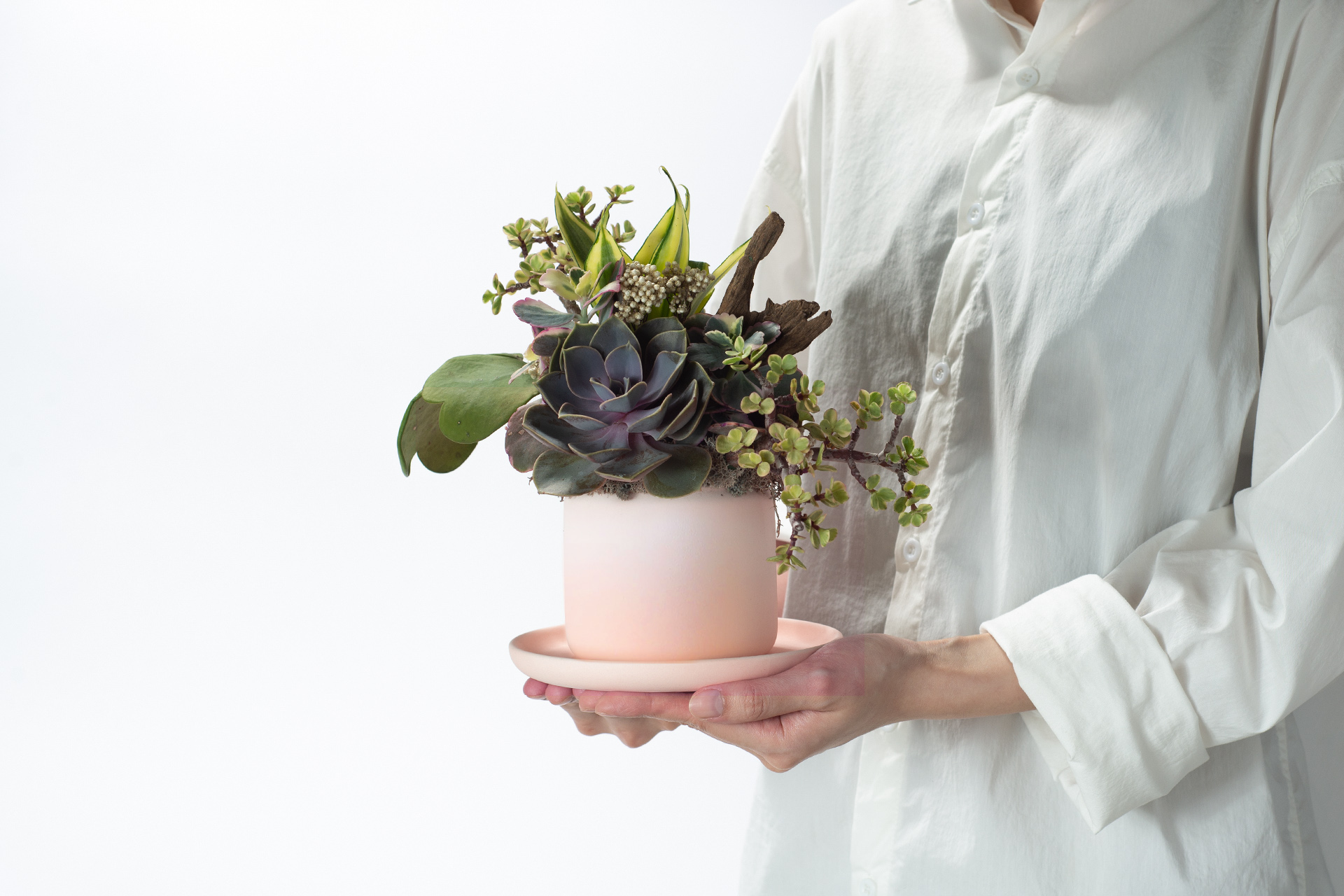 春色呈美 0422 夏季網路花店新禮品182 拷貝