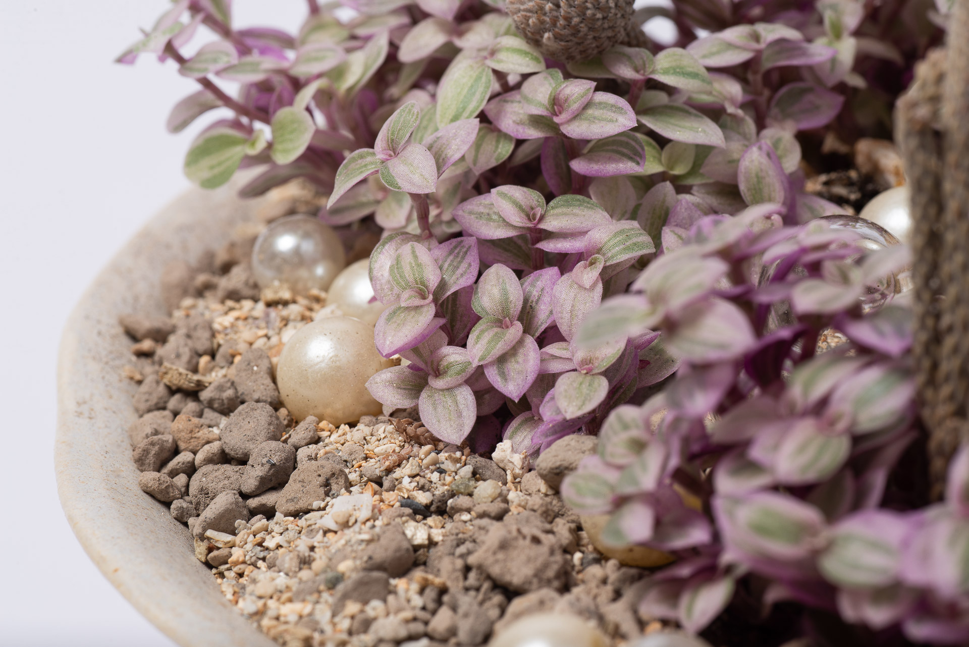 珍珠素材在組合盆栽