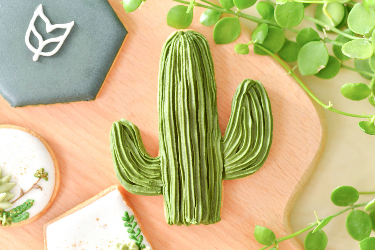 仙人掌餅乾造型