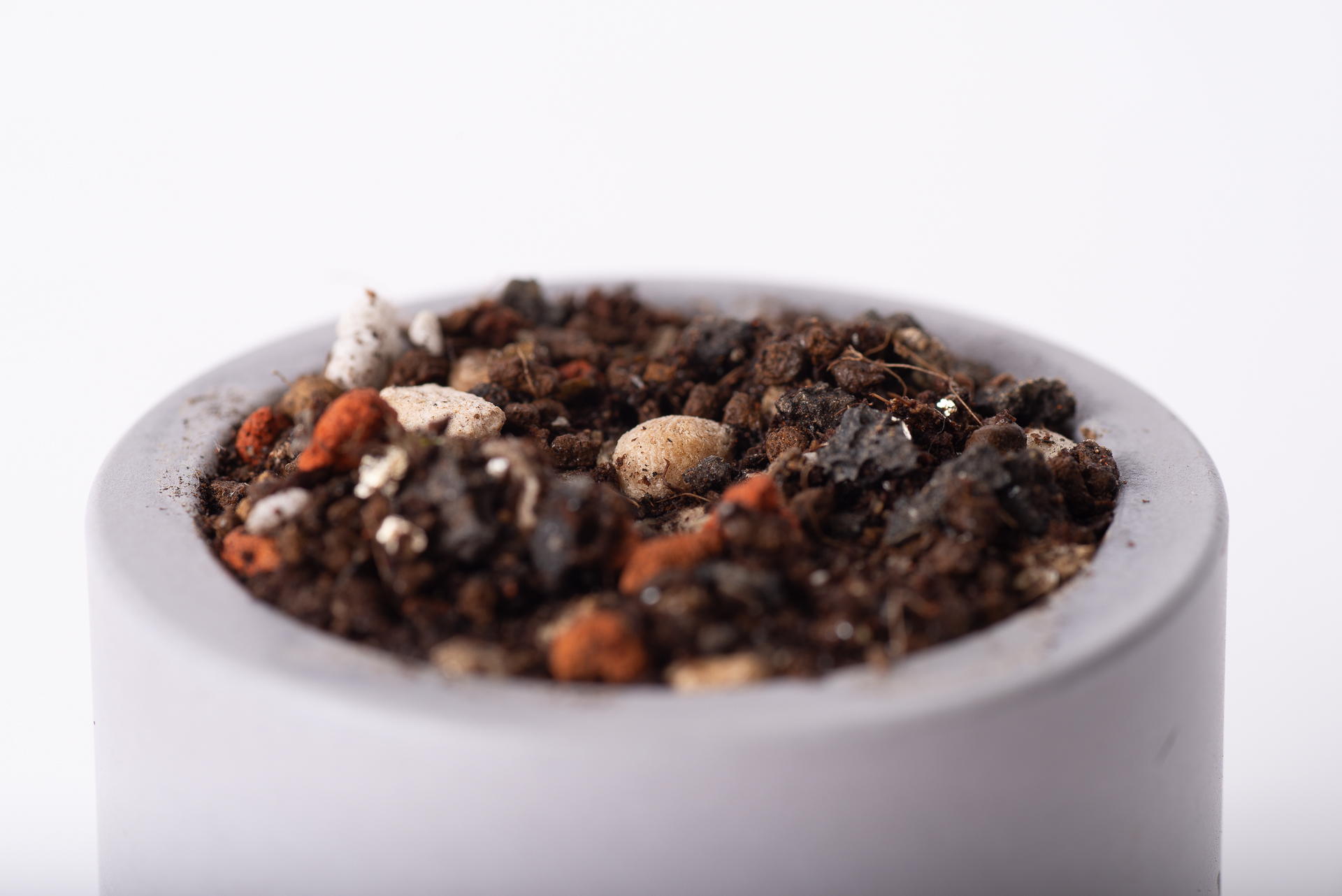 種子盆栽永續禮品