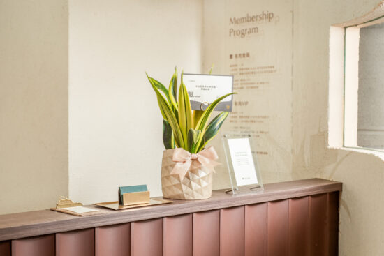 鳳梨祝賀盆栽網路花店