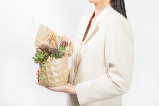 手捧鳳梨盆栽送禮