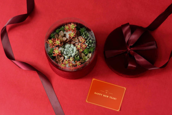 2024 七夕情人節送多肉花禮盒，療癒陪伴一整年 1113 春節花禮盒 138