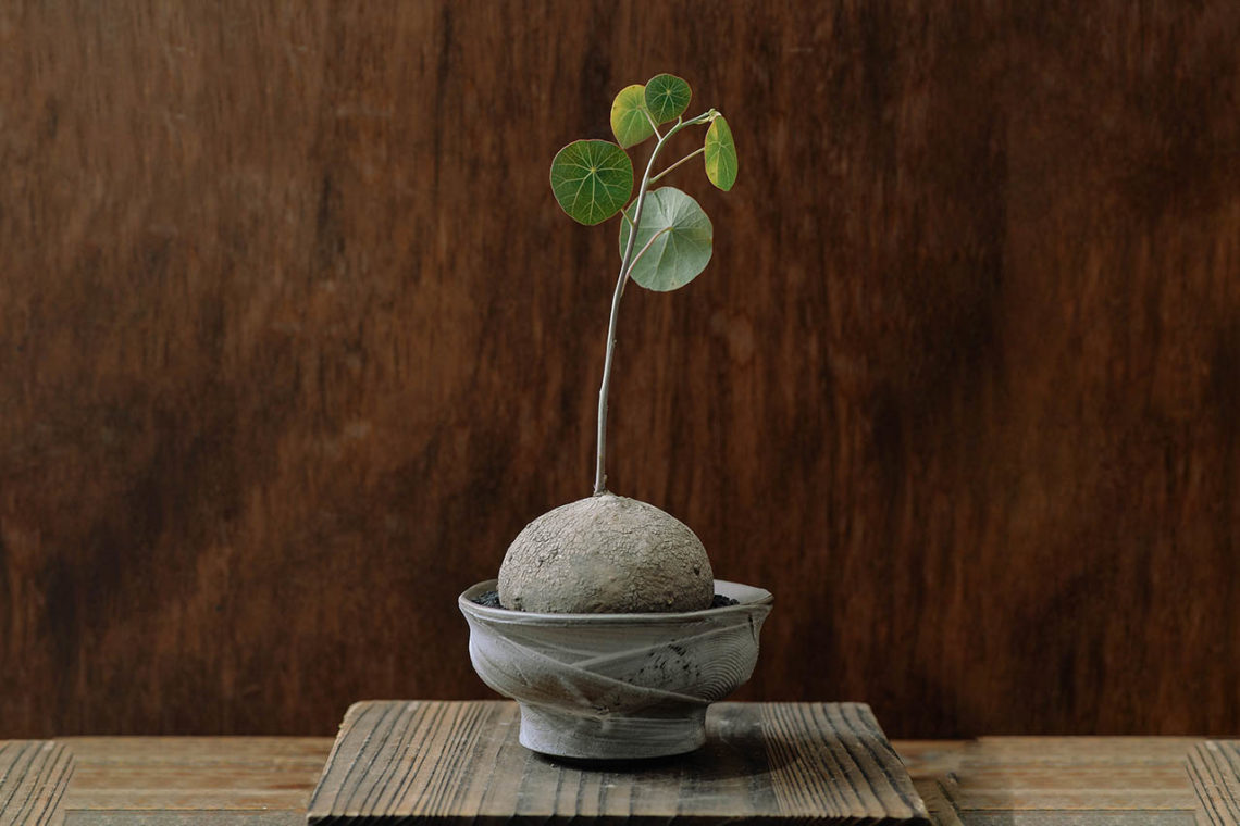 新聞媒體報導 1140x760 1