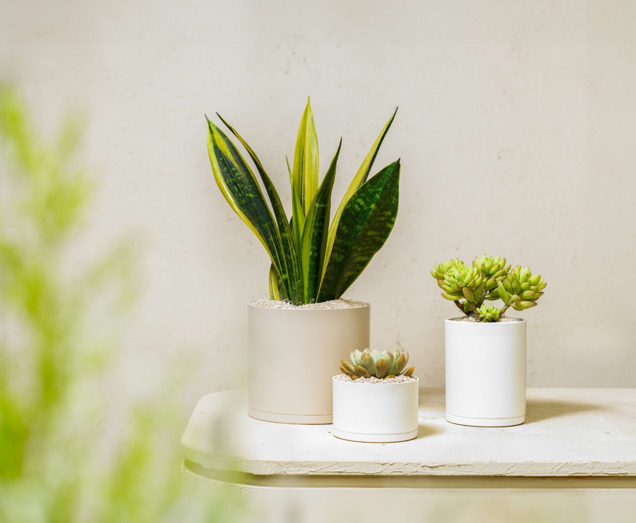 客製化禮贈品植禮優選