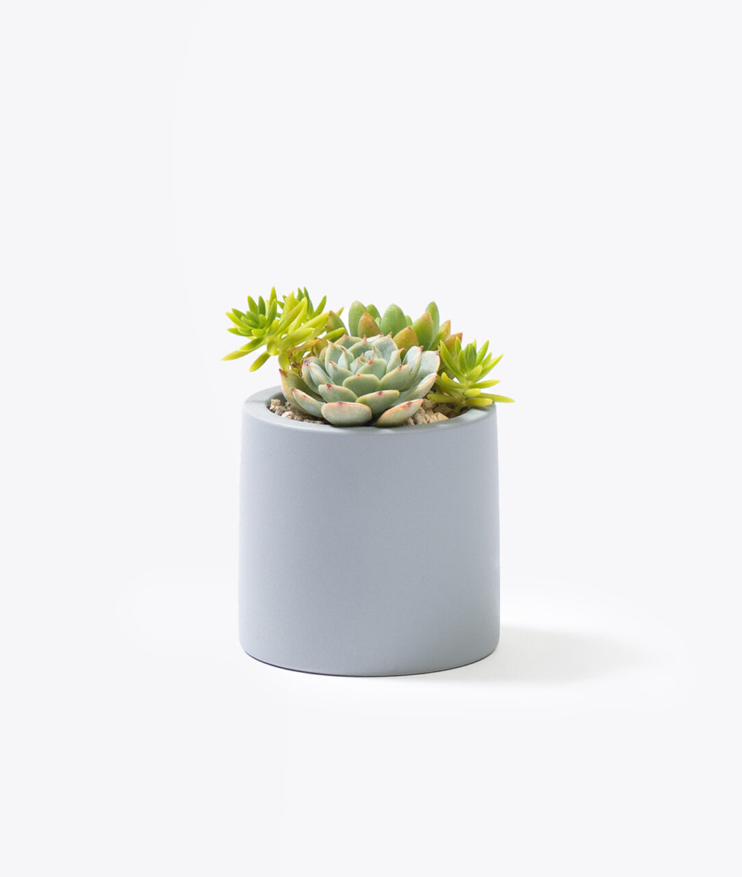 客製化禮贈品選擇一圓盆