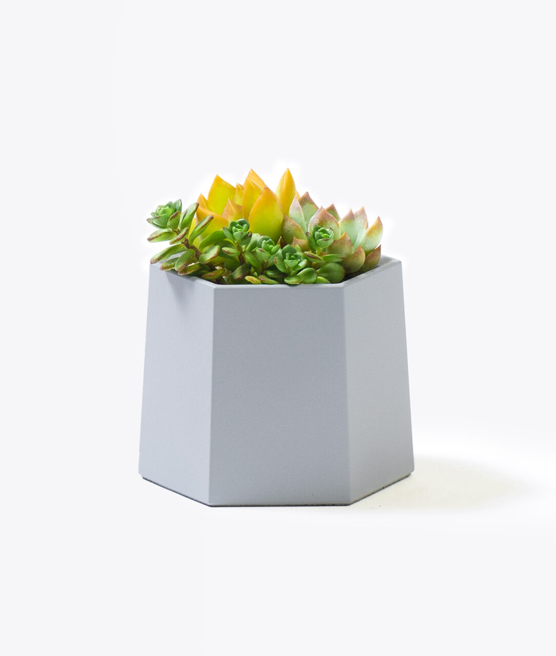 客製化禮品選擇-三度盆