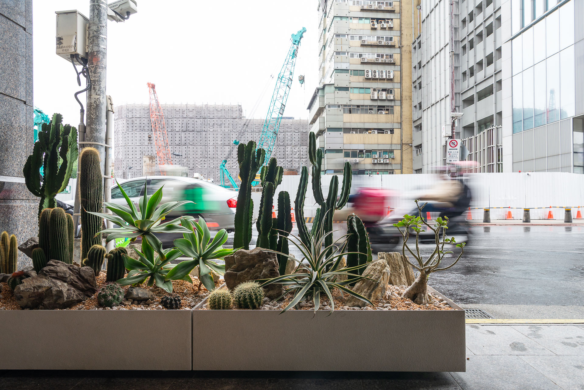 門口造景推薦！品牌新門市怎麼種植物才療癒又自然 1213 西門町Oani 飯店造景案例30