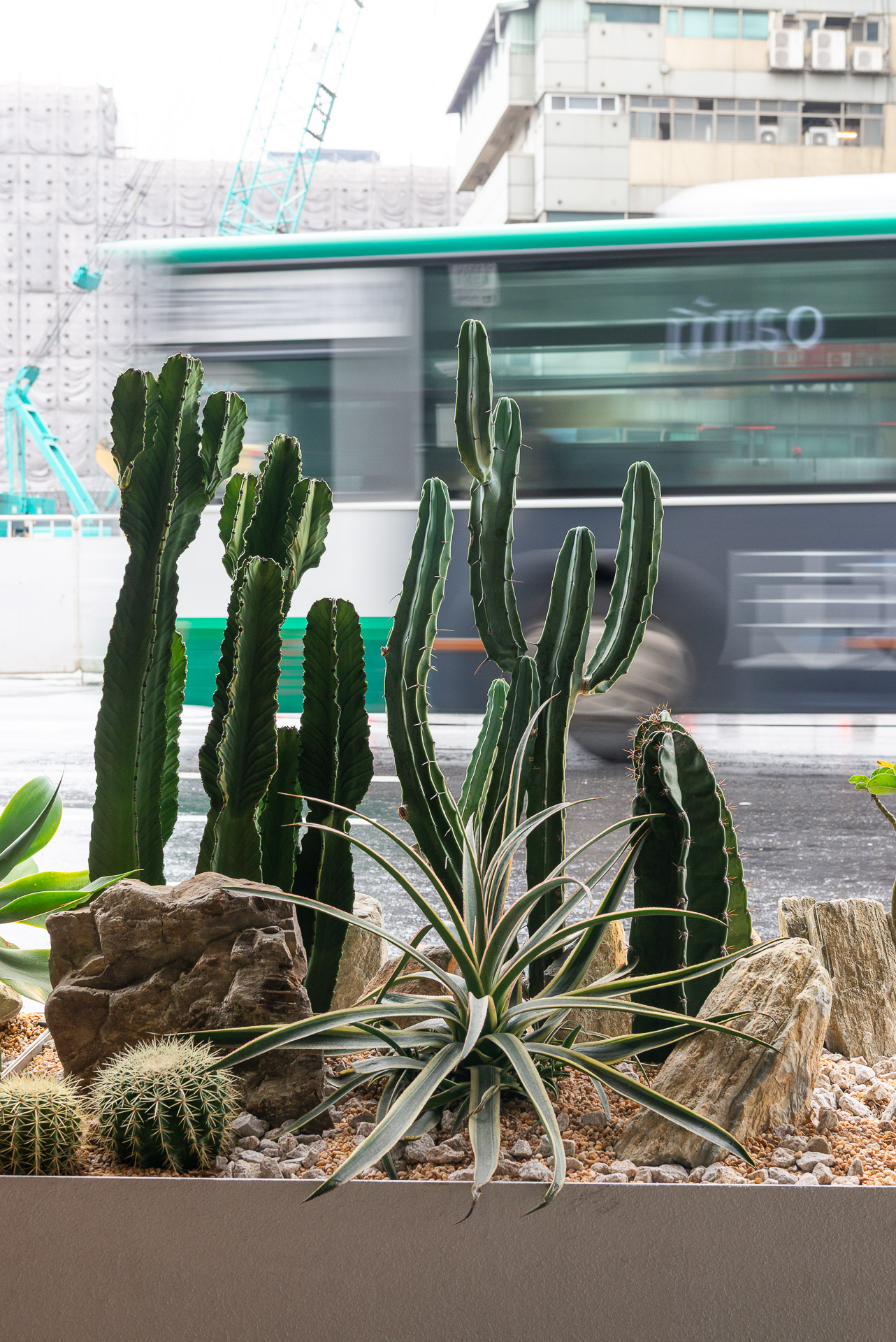 門口造景推薦！品牌新門市怎麼種植物才療癒又自然 1213 西門町Oani 飯店造景案例31