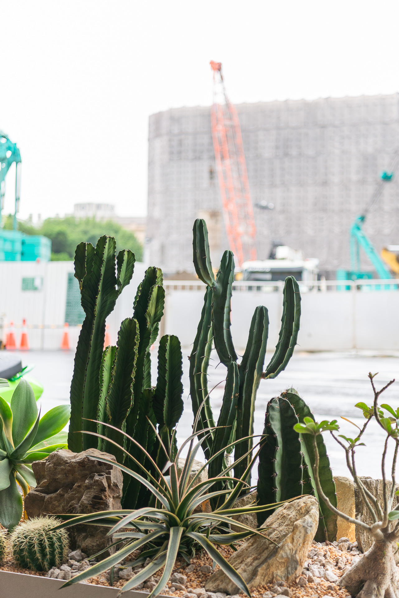 門口造景推薦！品牌新門市怎麼種植物才療癒又自然 1213 西門町Oani 飯店造景案例33