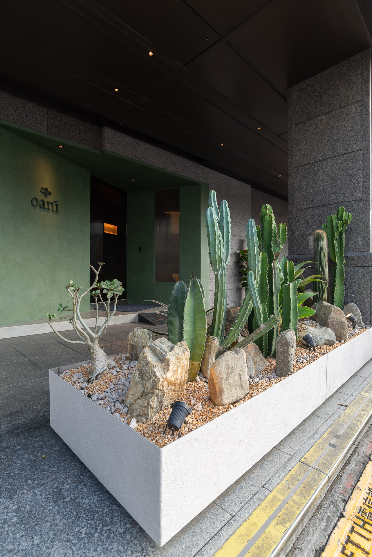 門口造景推薦！品牌新門市怎麼種植物才療癒又自然 1213 西門町Oani 飯店造景案例75