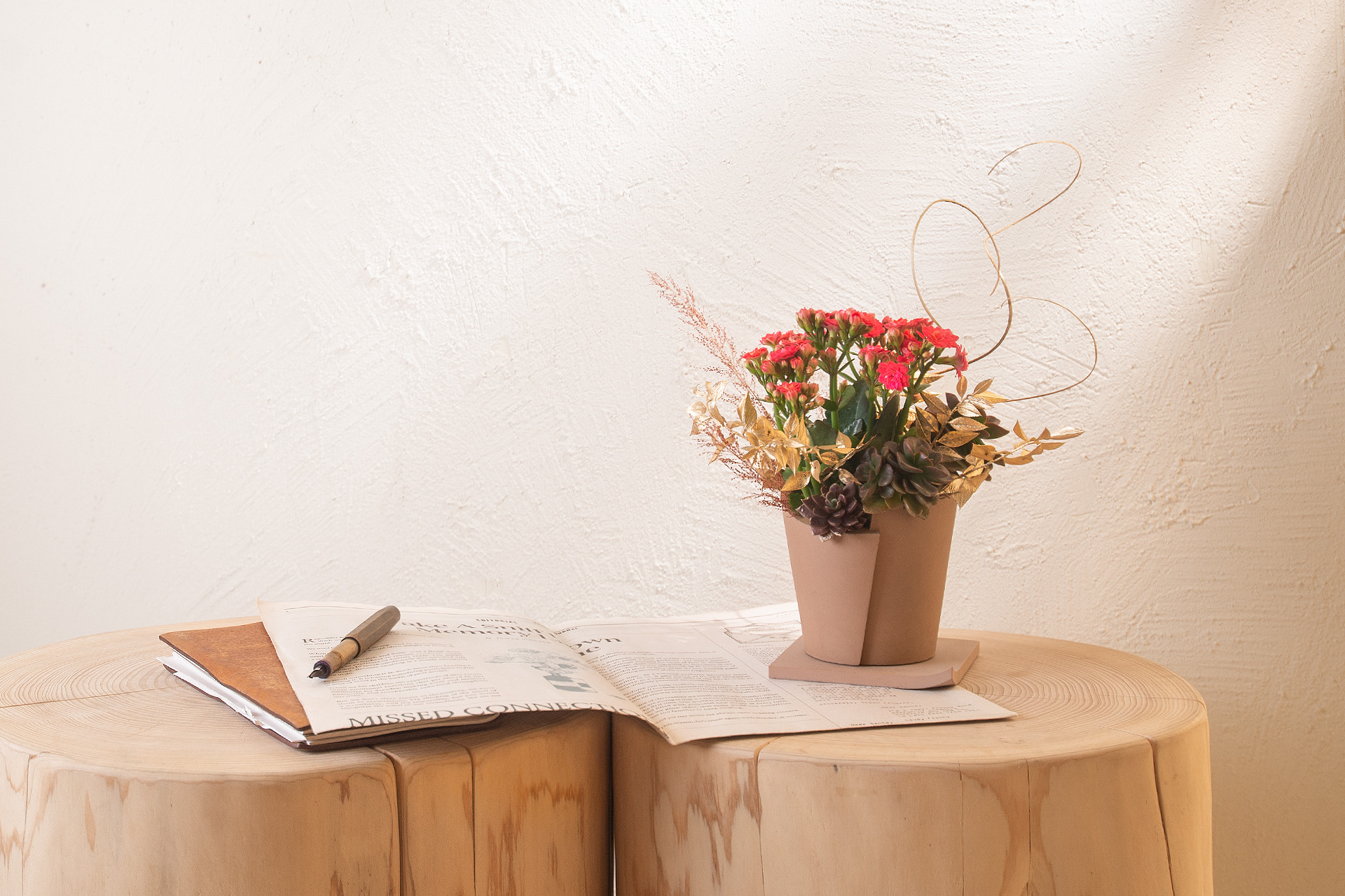 長壽花與蘭花，春節開花盆栽怎麼選？ 1219 2023 開花盆栽送禮033 拷貝 1