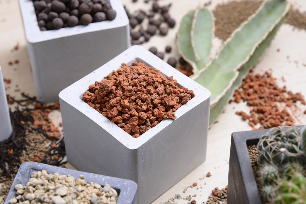 有肉多肉植物專用土